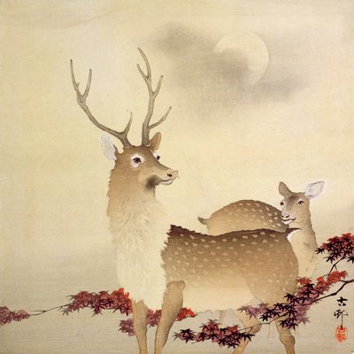 Um cervo e seus jovens sob a lua, c.1930 (impressão em xilogravura a cores) de Ohara Koson